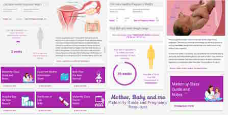 Pregnancy Resources